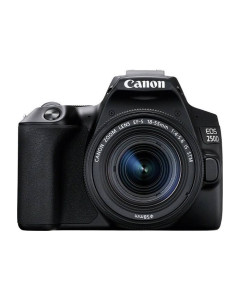 מצלמה C.D CANON 250D+EF 18-55 SEE DC BK