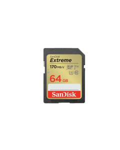 כרטיס זיכרון S.D EX 4K 170S V30 SD 64G
