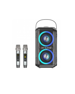 בידורית + 2 מיקרופונים WKING T9II 80W