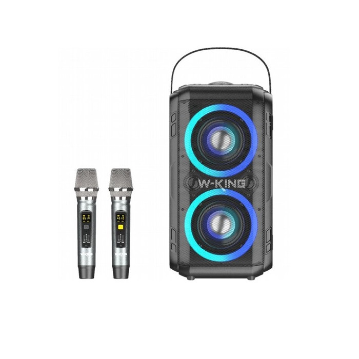 בידורית + 2 מיקרופונים WKING T9II 80W